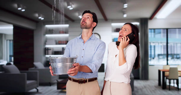 Best Flood restoration services  in Pacheco, CA